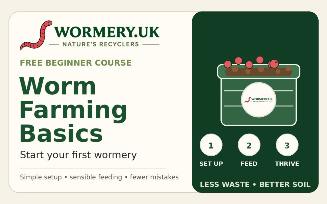 Worm Farming Basics