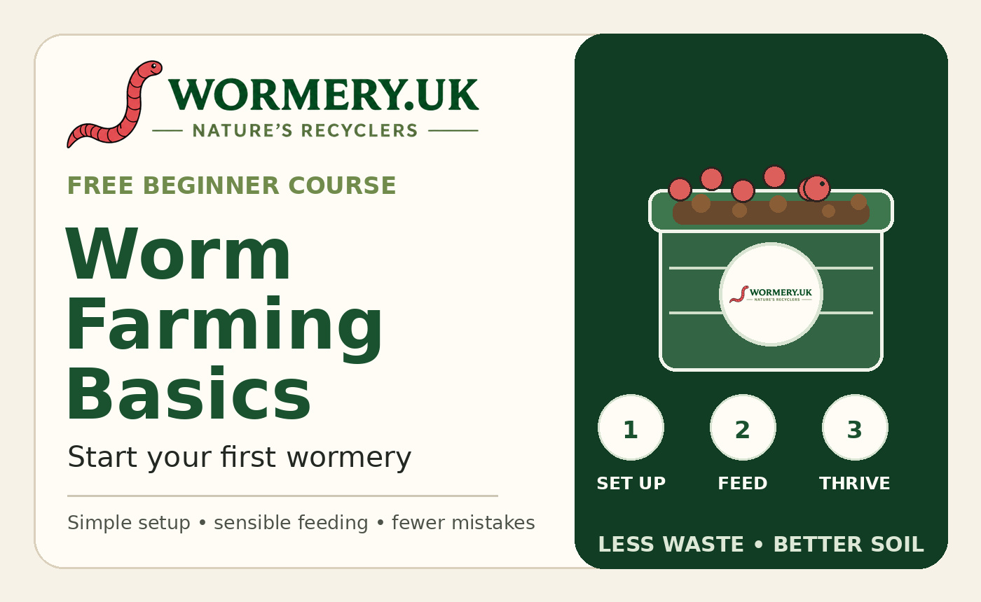 Worm Farming Basics