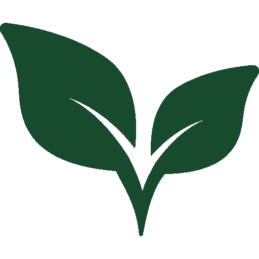 leaves copy